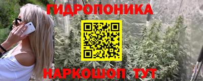 spice Пушкино