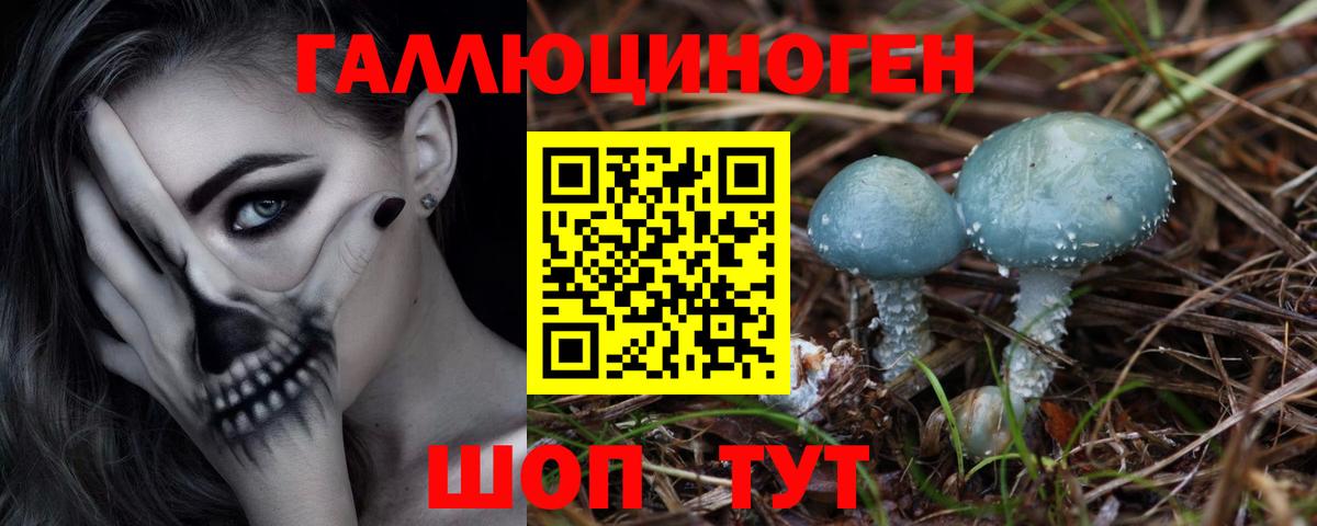 Псилоцибиновые грибы MAGIC MUSHROOMS Северск