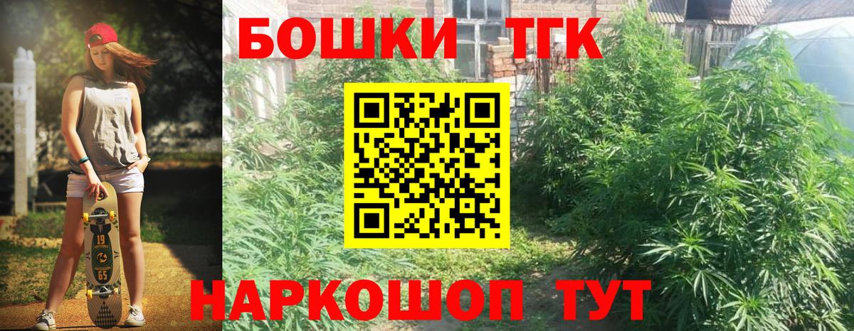 Бошки Шишки семена Северск